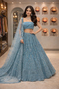 Glided Grace Lehenga