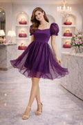 Plum Aura Mini Dress